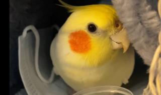 黑白方大同 黑白方大同